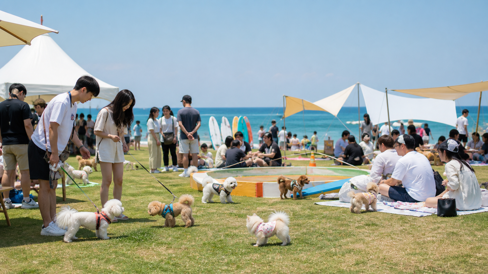 안목해변 반려견 해양레저 축제 분위기의 대표 이미지